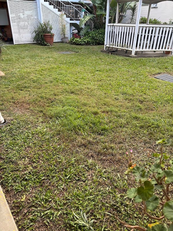 Whole Yards project 1