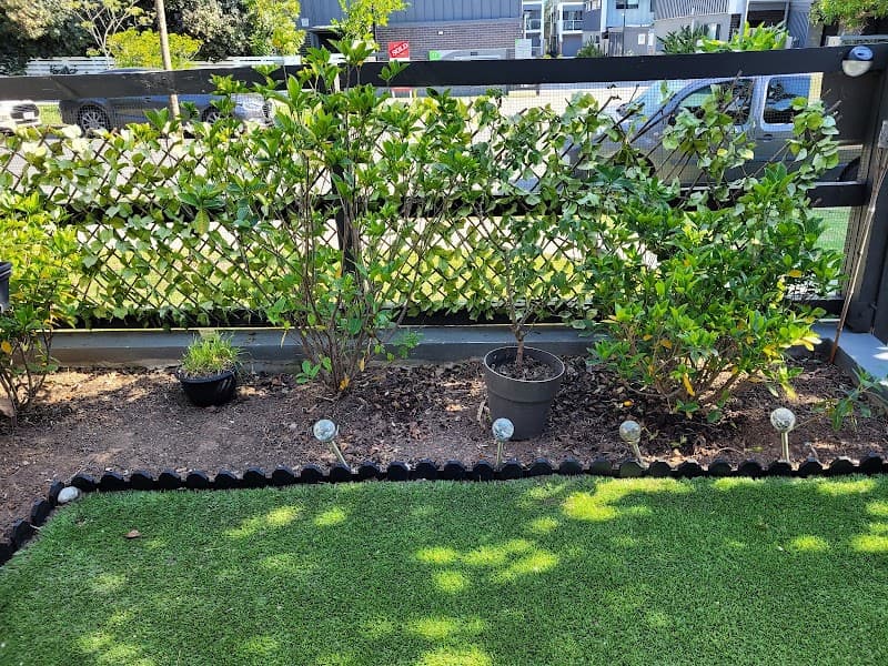 Whole Yards cover