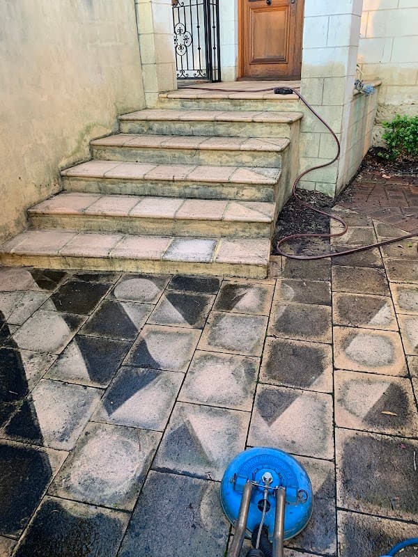 Wild Swan Cleaning Services project 1