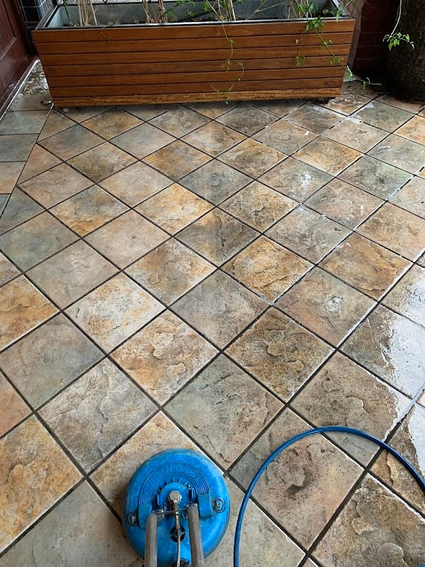 Wild Swan Cleaning Services cover