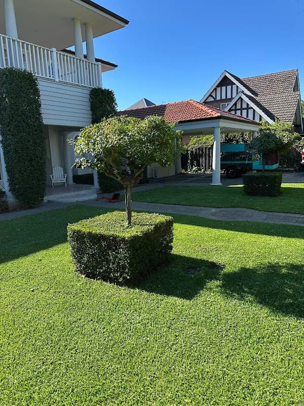 WILD TURF Lawns & Gardens cover