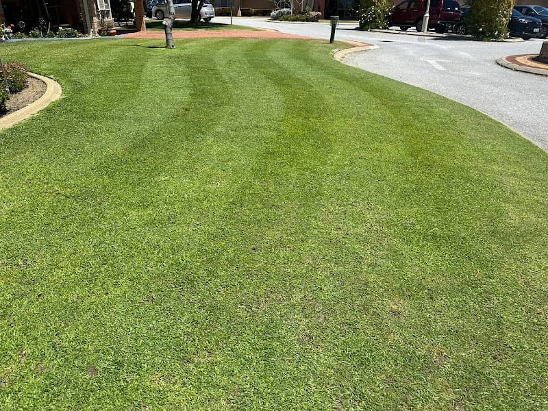 WILD TURF Lawns & Gardens project 3
