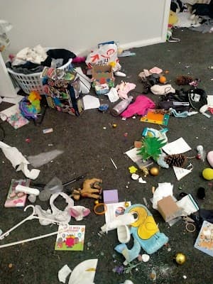 Every day bright clean