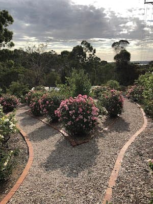 Fomi Lawns & Gardens