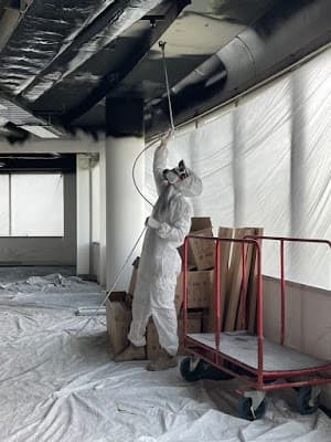Good Idea Painting service