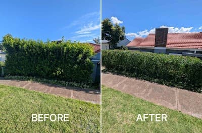 Gringo Yard And Garden Maintenance cover