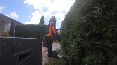 Lawn Mowing Canberra - LawnMowingCanberra.Com.Au