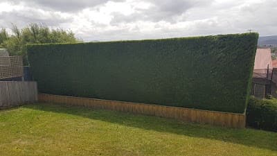 Lifestyle Garden Maintenance cover