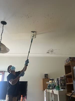 1plus cleaning services cover