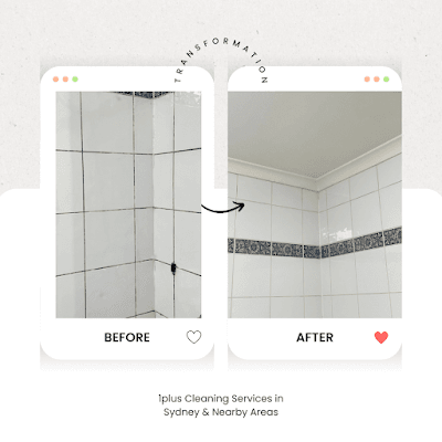1plus cleaning services project 4
