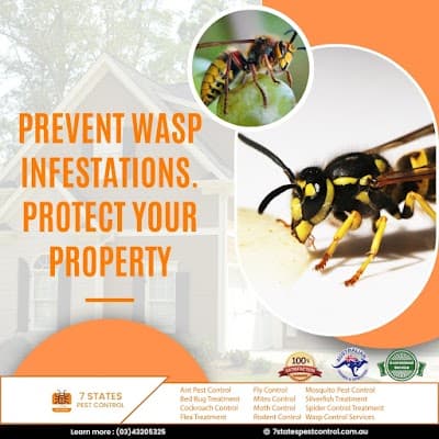 7 States Pest Control cover