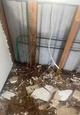 7 States Pest Control project 1