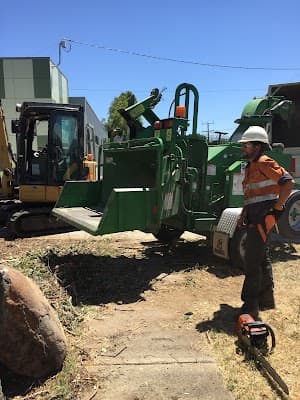 A1 Tree Solutions project 3