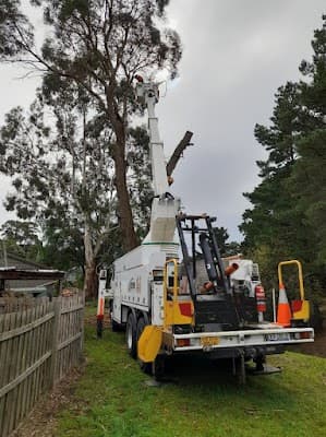A1 Tree Solutions project 4