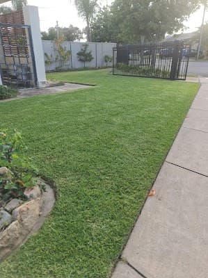 AAA Lawn Services cover