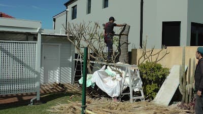 ABC Tree Lopping - All Tree Services| Arborist | Stump Grinding project 6