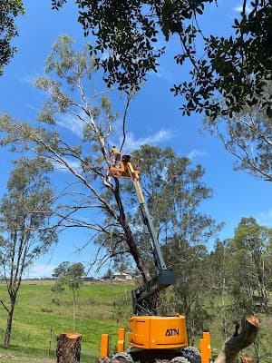 Absolute Tree Services