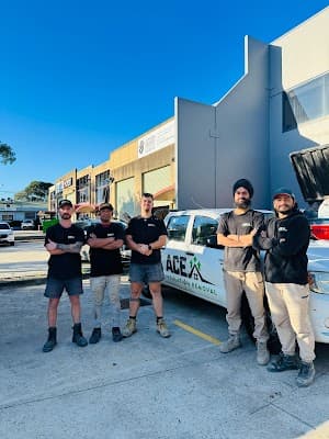 Ace Insulation Removal project 3