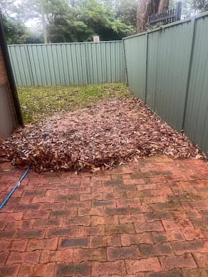 Action Property Services St George cover