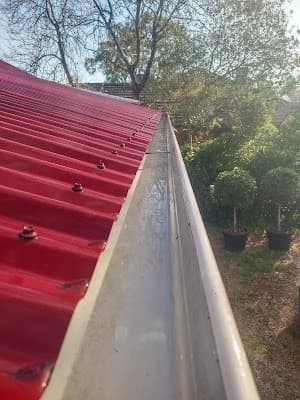 Adelaide Gutter Mesh project 5
