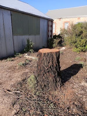 Affordable Tree Solutions cover