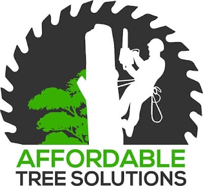 Affordable Tree Solutions project 3