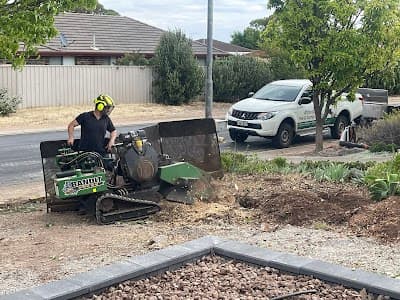 Affordable Tree & Stump Services cover
