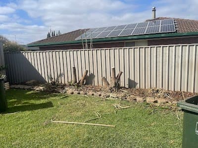 Affordable Tree & Stump Services project 4