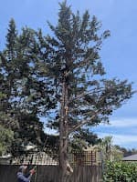 Akr tree services cover