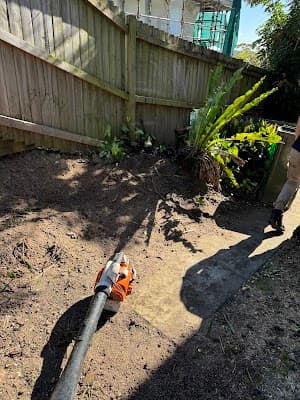 ALEX TREE LOPPING project 6