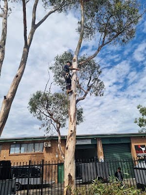 All Around Trees Services - AATS cover
