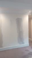 All Aspect Plastering