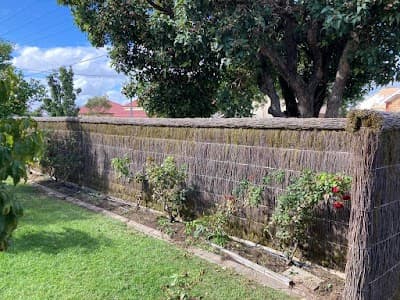 All Brush Fence Repairs cover