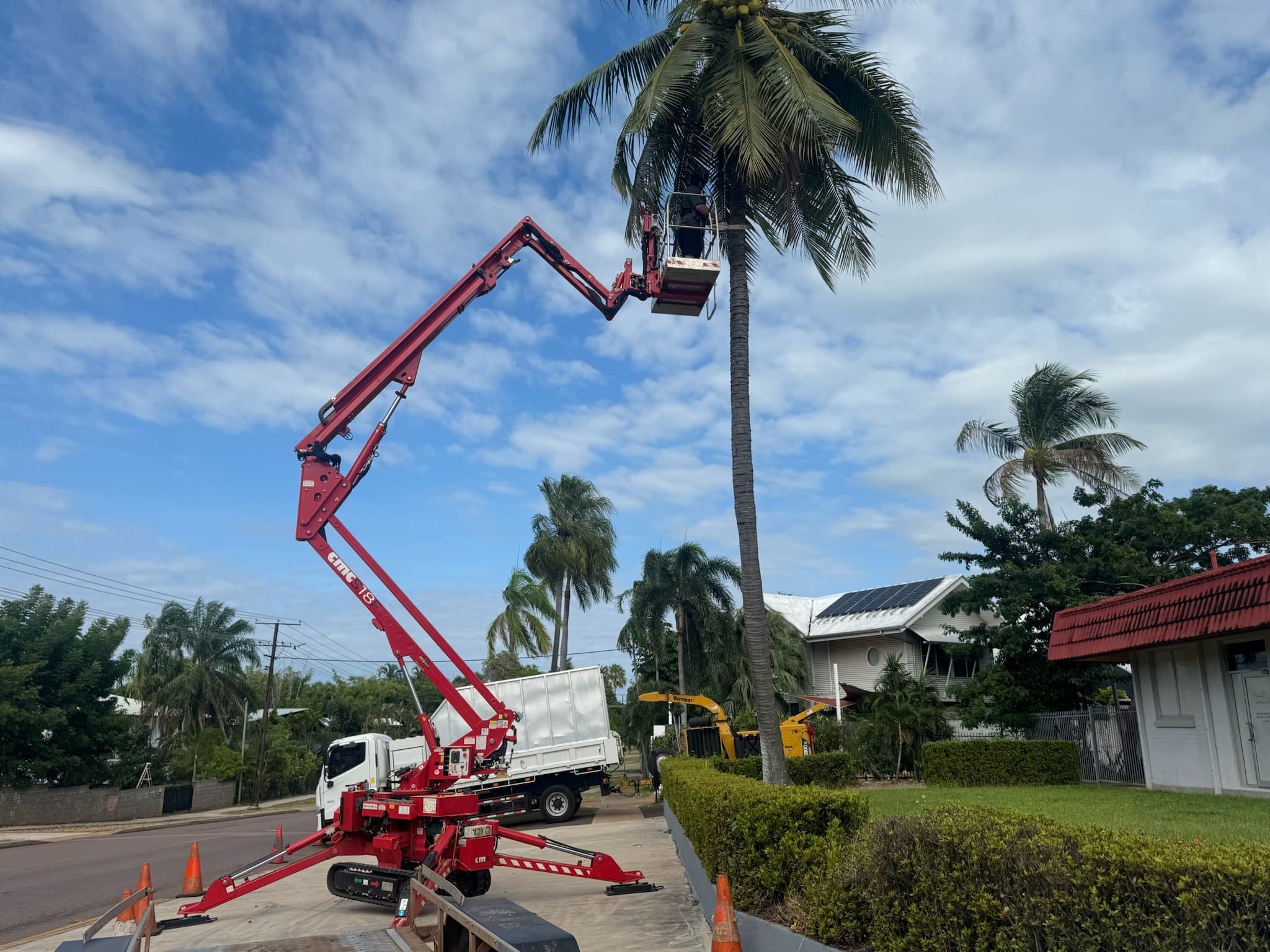 All Season Group - Tree Services