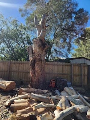 All Tree Pros Removal Services Sydney project 3