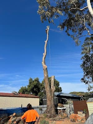Arborcare Tree Contractors cover