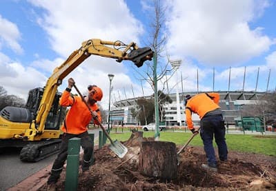 ArborCo project 3