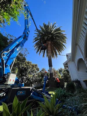 ArborCo project 4