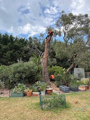 ArborCo project 5