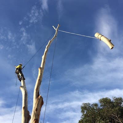 ArborCo project 1