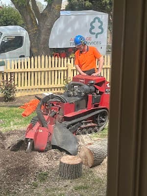 Armitage Tree Services cover