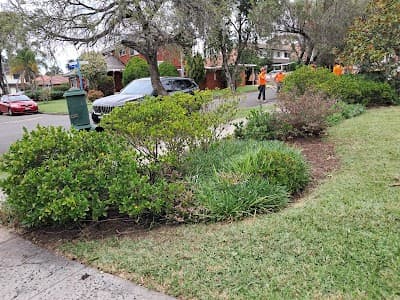 ASET Tree Removal & Garden Rejuvenation project 3