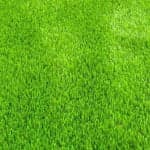 Auzzie Turf
