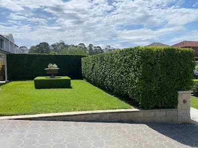 B3landscapes Pty Ltd cover