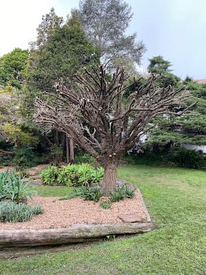 B3landscapes Pty Ltd project 4