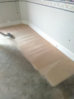 Barwon Carpet Cleaning project 3