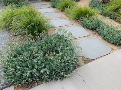 Bayside Garden Care cover