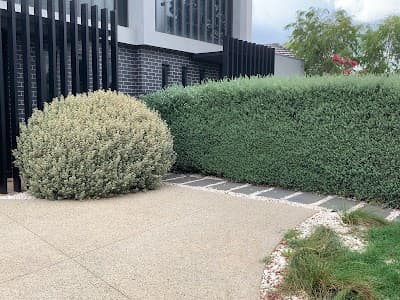 Bayside Garden Care project 6