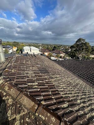 Bayside Roof Cleaning project 4