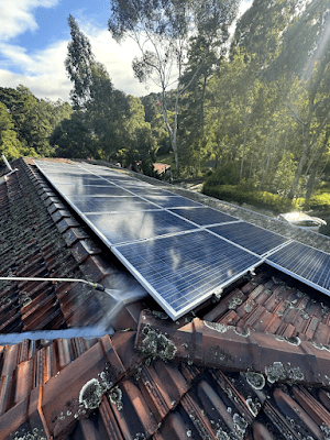Bayside Roof Cleaning project 6